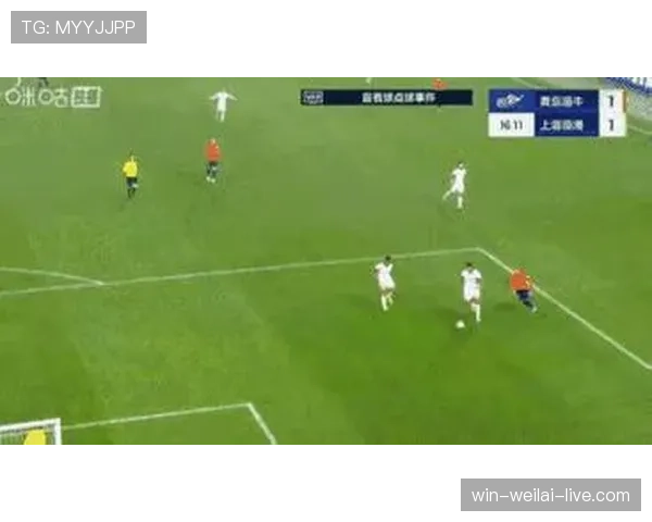 假动作规则：比赛中可用，但完成助跑后的点球假踢属犯规并须黄牌