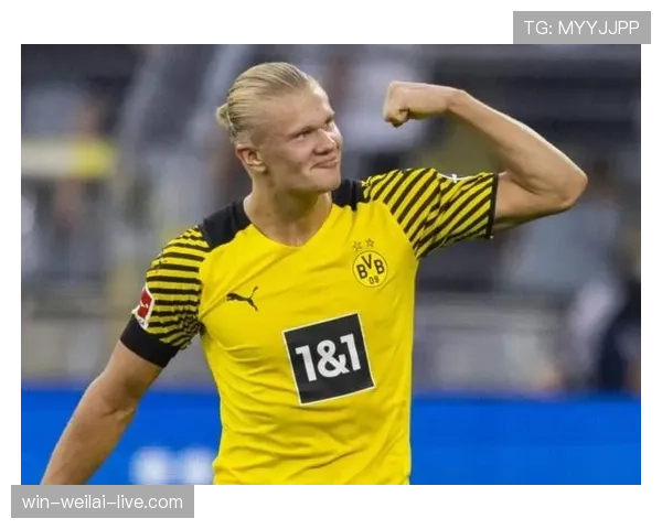 恩德里克与哈兰德：天赋型前锋的成长潜力能否挑战终结机器的效率天花板？